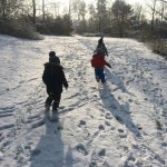 K1024_IMG_5619
