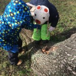 K1024_IMG_5911