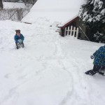 K1024_IMG_6016