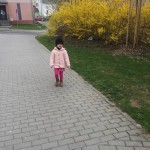K1024_IMG_0301