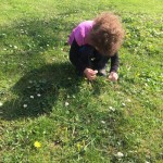 K1024_IMG_0359