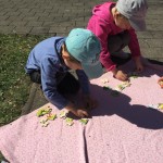 K1024_IMG_0506