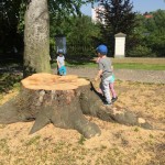 K1024_IMG_0987