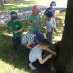 K1024_IMG_0992
