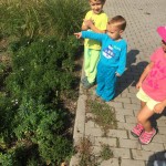 K1024_IMG_2421