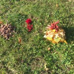 K1024_IMG_3096